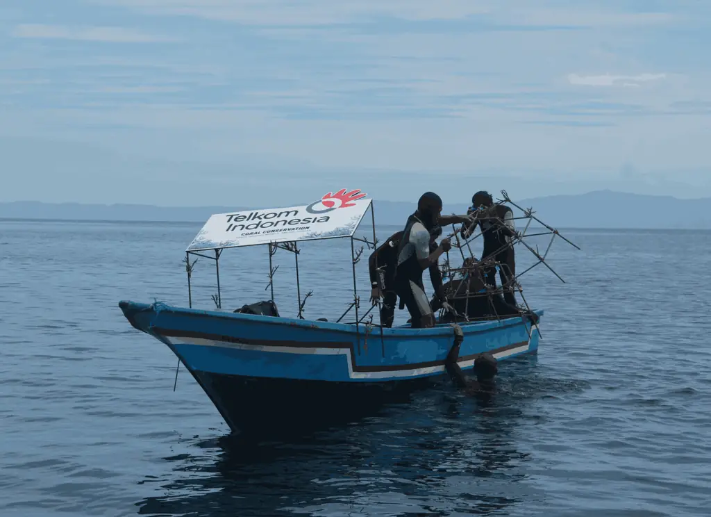 Restore the Sea, Protect Life: Telkom Indonesia Rehabilitates Coral Reefs in Central Maluku